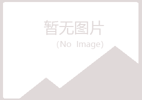 日照岚山心痛音乐有限公司